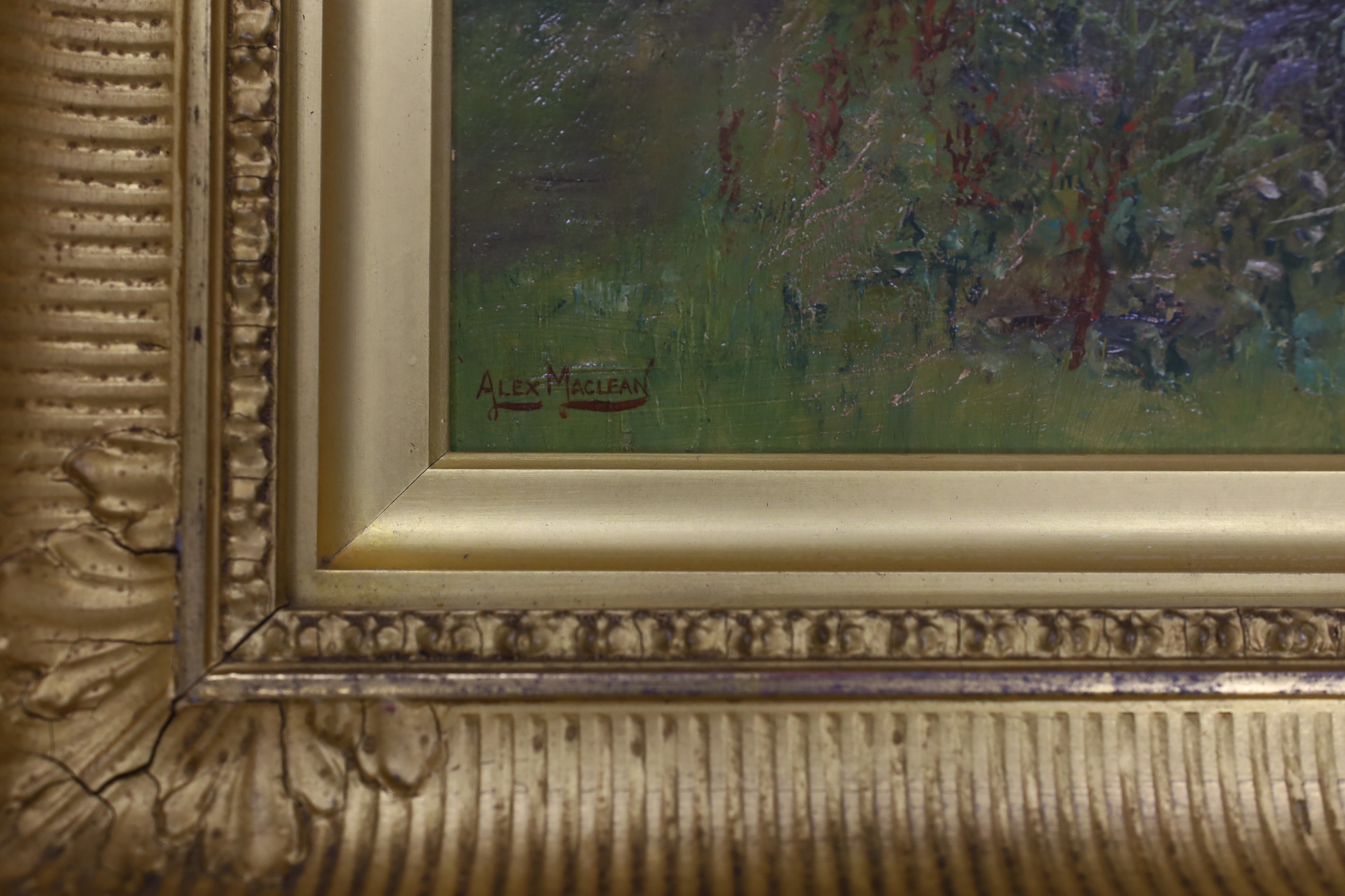 Alex Maclean RBA (1967-1940), oil on board, River landscape, signed, 26 x 36cm, ornate gilt framed